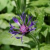 20150514_0153
